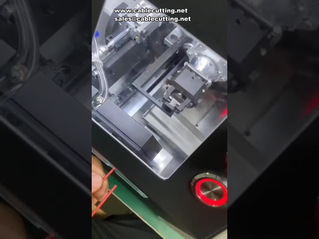 4SQMM Yalıtımsız Pabuç Otomatik Kıvırma Makinesi - Dört Taraflı Kablo Sıyırma ve Terminal Sıkma