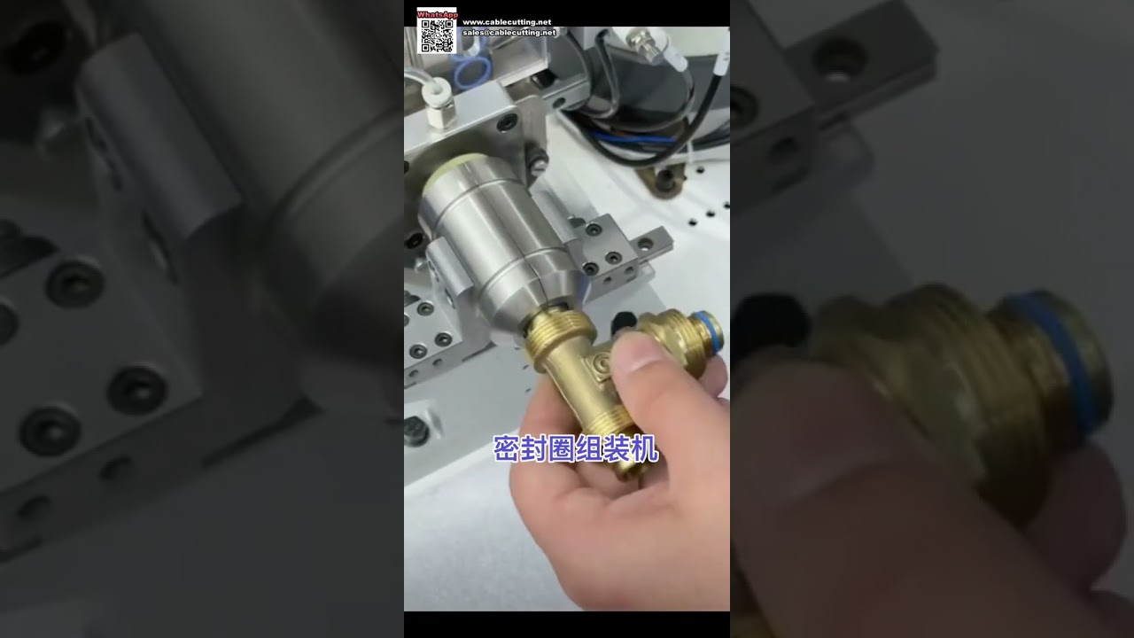 Otomotiv Bileşenleri için Tam Otomatik O-Ring Conta Montaj Makinesi - Kısa Versiyon