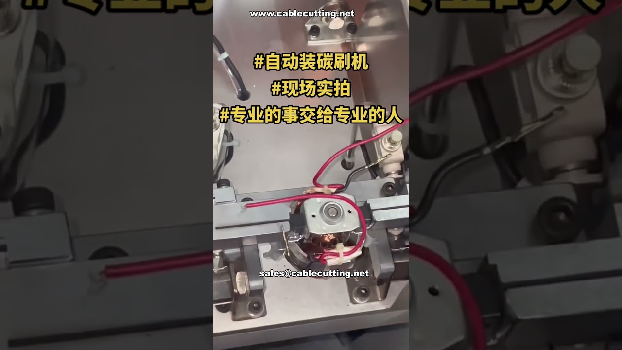 Yüksek Verimli Otomatik Karbon Fırça Montaj Makinesi | Fabrika Demo | Tekrarlanan Müşteri Siparişi