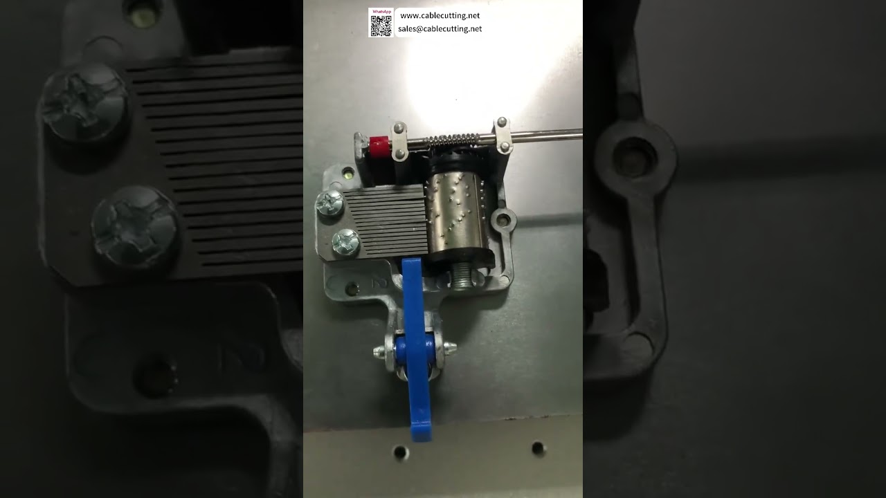 Müzik Kutusu Otomatik Vidalama Makinesi Endüstriyel Fabrika Otomasyon Sistemi Akıllı Kurulum
