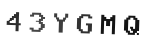 Verification Code Image